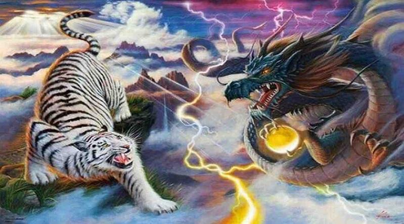 Luật chơi quốc tế trong Dragon and Tiger 